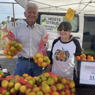 lhoste-citrus-lester-linda-vendor-330x330.jpg